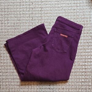 Johnny Was Sasson Size 33 Plus Size Denim Jeans Pants New York Paris